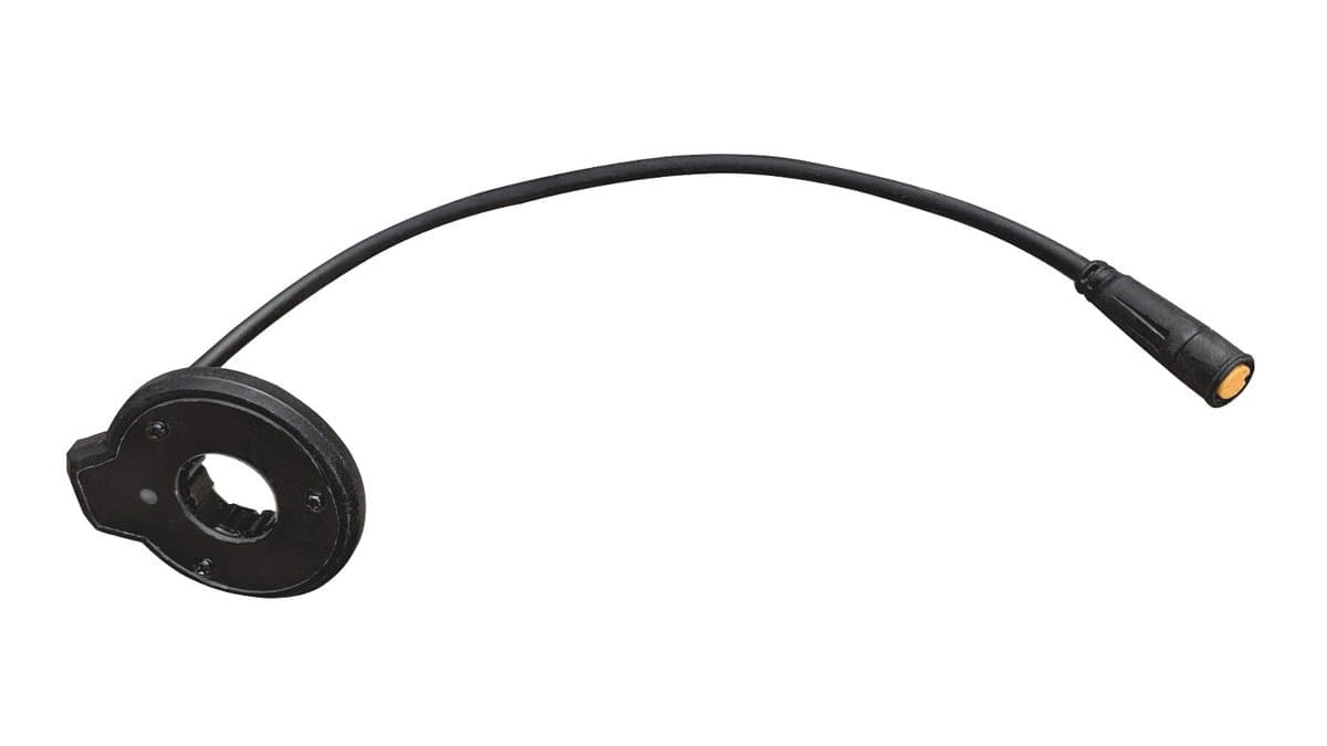 Crank Sensor