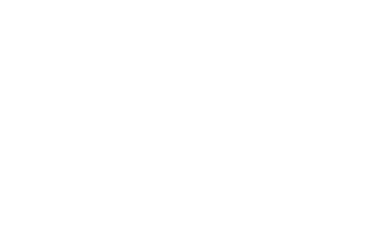 iGO Electric